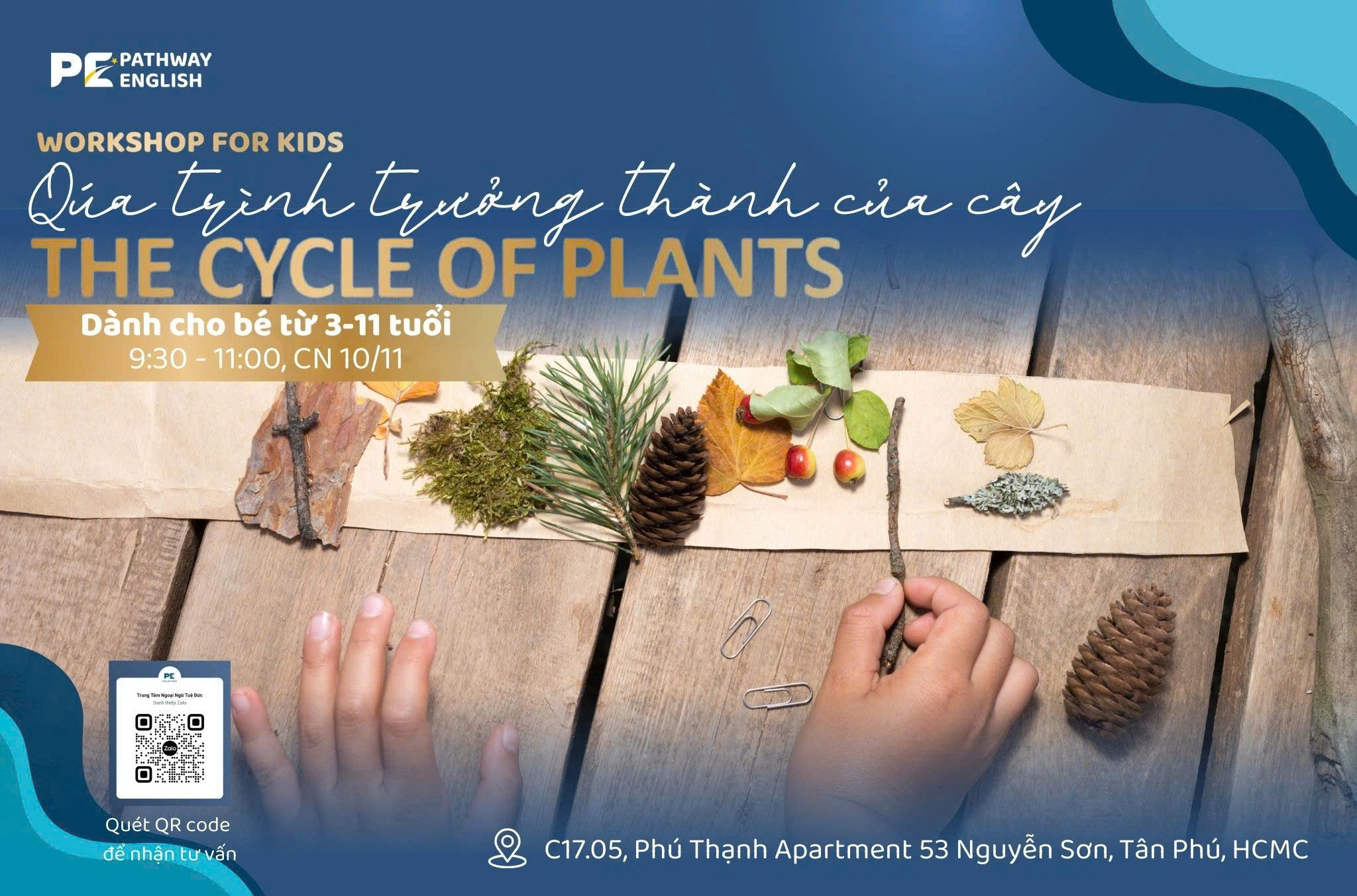 THE CYLCLE OF PLANT ????
